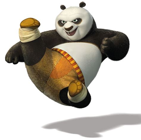 kung fu panda po age
